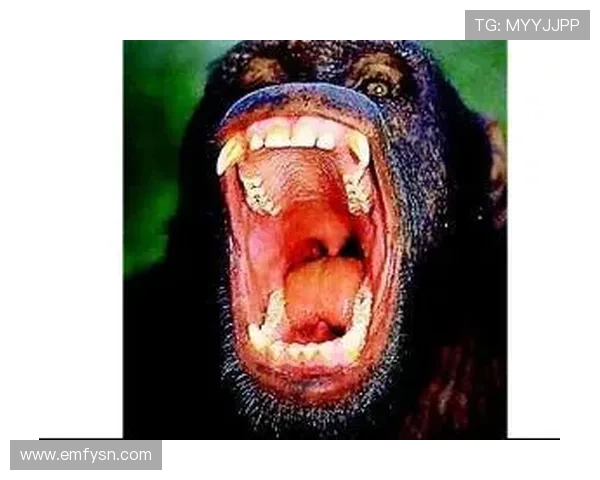 《食人鱼3D:深渊巨口》——当血盆大口吞噬一切,你敢直视那深不见底的恐惧吗? 《食人鱼3D:深渊巨口》——当血盆大口吞噬一切,你敢直视那深不见底的恐惧吗?