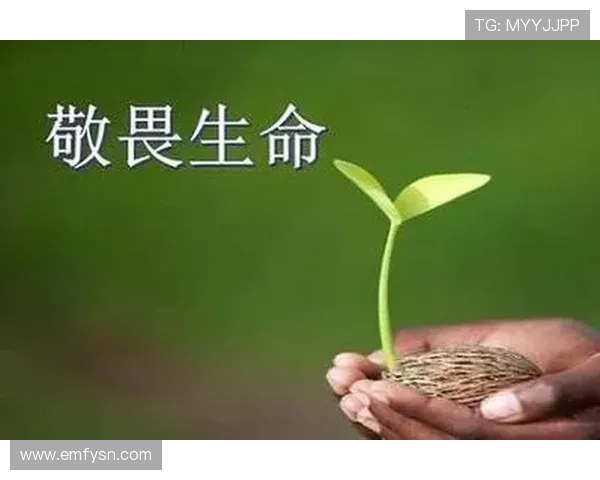 别让周日成为终结,拥抱生命的每一种可能 别让周日成为终结,拥抱生命的每一种可能